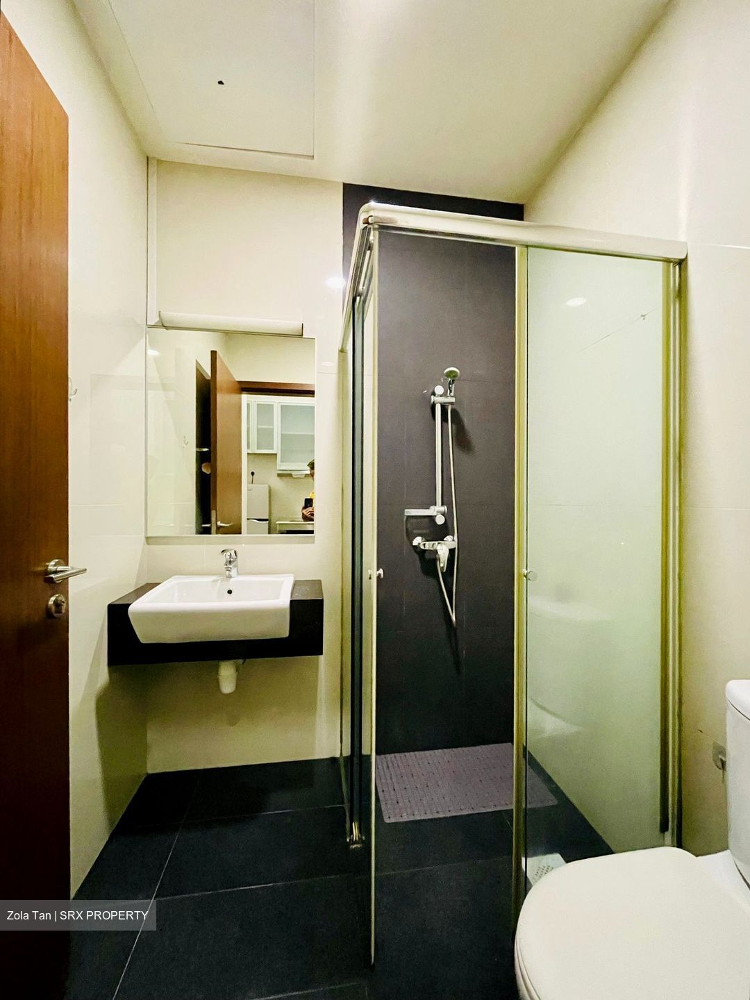 Parc Elegance (D15), Apartment #442951301
